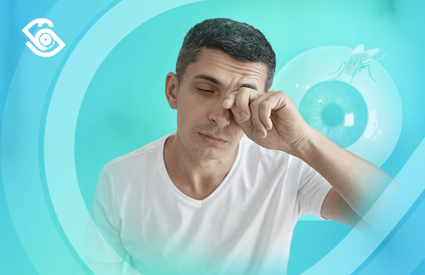 أسباب ظهور ذبابة العين أسباب ظهور ذبابة العين